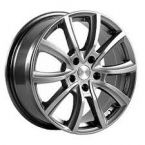 ������ ���� ���� Volkswagen ������� Grey 